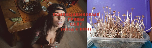 2c-b Лиски