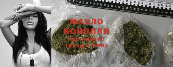 дмт Бородино