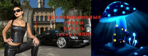 2c-b Лиски
