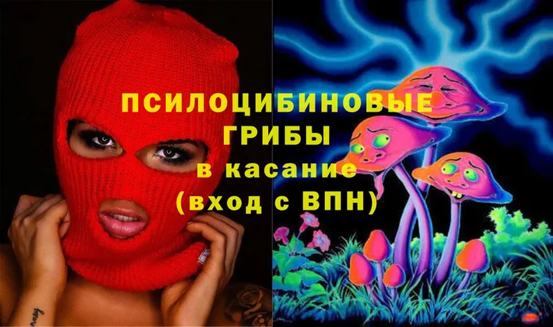 Псилоцибиновые грибы Magic Shrooms  Кисловодск 