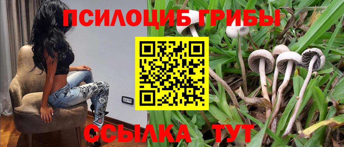 Галлюциногенные грибы мицелий Кисловодск
