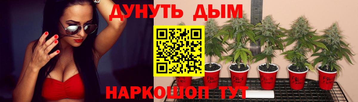Шишки марихуана гибрид Кисловодск